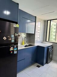 Simei Green Condominium (D18), Condominium #471815661
